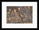 Petroglyphs at Newspaper Rock by Anonymous