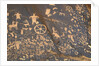 Petroglyphs at Newspaper Rock by Anonymous