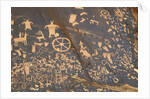 Petroglyphs at Newspaper Rock by Anonymous
