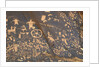 Petroglyphs at Newspaper Rock by Anonymous