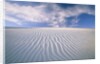 White Sands National Monument by Anonymous