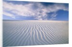 White Sands National Monument by Anonymous
