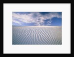White Sands National Monument by Anonymous