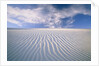 White Sands National Monument by Anonymous