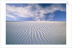 White Sands National Monument by Anonymous
