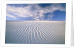 White Sands National Monument by Anonymous