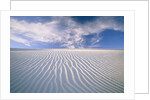 White Sands National Monument by Anonymous