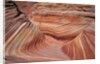 Rock, Paria Canyon, Utah, USA by Anonymous