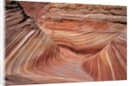 Rock, Paria Canyon, Utah, USA by Anonymous