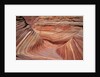 Rock, Paria Canyon, Utah, USA by Anonymous