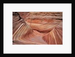 Rock, Paria Canyon, Utah, USA by Anonymous