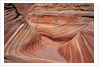 Rock, Paria Canyon, Utah, USA by Anonymous
