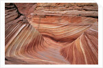 Rock, Paria Canyon, Utah, USA by Anonymous
