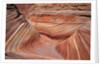 Rock, Paria Canyon, Utah, USA by Anonymous