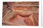 Rock, Paria Canyon, Utah, USA by Anonymous