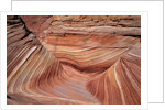 Rock, Paria Canyon, Utah, USA by Anonymous