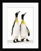 Two king penguins by Anonymous