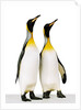 Two king penguins by Anonymous