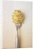 Fork with spaghetti by Anonymous