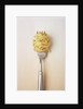 Fork with spaghetti by Anonymous