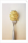 Fork with spaghetti by Anonymous