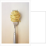 Fork with spaghetti by Anonymous