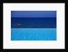 Blue of Pool, Sky and Sea by Anonymous