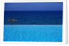 Blue of Pool, Sky and Sea by Anonymous