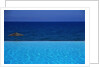 Blue of Pool, Sky and Sea by Anonymous
