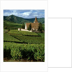 Agricultural scene, Hunawihr, Alsace-Lorraine, France by Anonymous