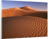 Dunes in the desert (Hatta, United Arab Emirates) by Anonymous
