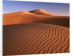 Dunes in the desert (Hatta, United Arab Emirates) by Anonymous