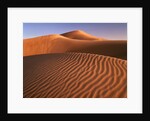 Dunes in the desert (Hatta, United Arab Emirates) by Anonymous