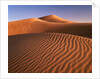 Dunes in the desert (Hatta, United Arab Emirates) by Anonymous