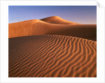 Dunes in the desert (Hatta, United Arab Emirates) by Anonymous