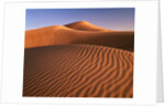 Dunes in the desert (Hatta, United Arab Emirates) by Anonymous
