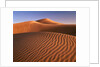 Dunes in the desert (Hatta, United Arab Emirates) by Anonymous