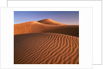 Dunes in the desert (Hatta, United Arab Emirates) by Anonymous