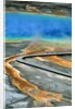 Boardwalk at the Grand Prismatic Spring, Yellowstone National Park, Wyoming by Anonymous