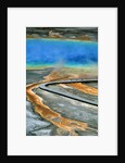 Boardwalk at the Grand Prismatic Spring, Yellowstone National Park, Wyoming by Anonymous