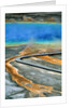 Boardwalk at the Grand Prismatic Spring, Yellowstone National Park, Wyoming by Anonymous