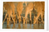 Several impalas drinking at a watering place (Botswana) by Anonymous