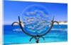 Chileno Bay, Los Cabos, Mexico by Anonymous