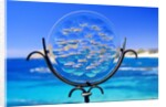 Chileno Bay, Los Cabos, Mexico by Anonymous
