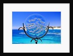 Chileno Bay, Los Cabos, Mexico by Anonymous
