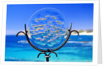 Chileno Bay, Los Cabos, Mexico by Anonymous