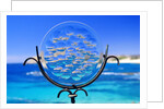 Chileno Bay, Los Cabos, Mexico by Anonymous