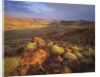 Sunrise in Millstream-Chichester National Park by Anonymous