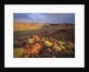 Sunrise in Millstream-Chichester National Park by Anonymous