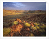Sunrise in Millstream-Chichester National Park by Anonymous
